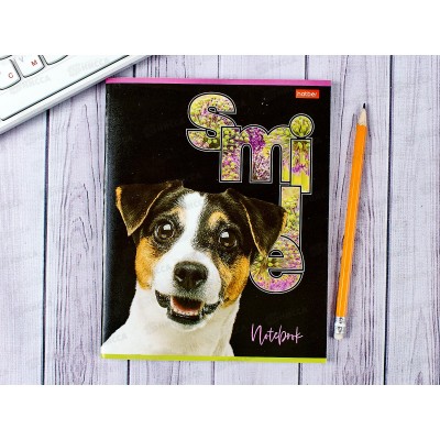 Тетрадь 80л кл. Hatber Улыбнись *7/70 Тетрадь 80л кл. Hatber Улыбнись *7/70