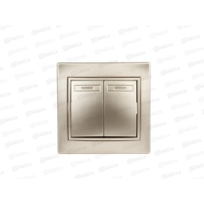 Выключатель INTRO Plano cкрытой установки двойной, 10А-250В, IP20, шампань, 1-104-04