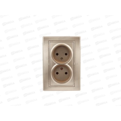 Розетка INTRO Plano cкрытой установки двойная, 16А-250В, IP20, шампань, 1-204-04 *10/100 Розетка INTRO Plano cкрытой установки двойная, 16А-250В, IP20, шампань, 1-204-04 *10/100