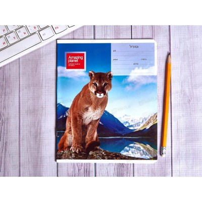 Тетрадь 18л лин. ПЗБМ Удивительная планета,12U05M1 UPL*20/200 Тетрадь 18л лин. ПЗБМ Удивительная планета,12U05M1 UPL*20/200