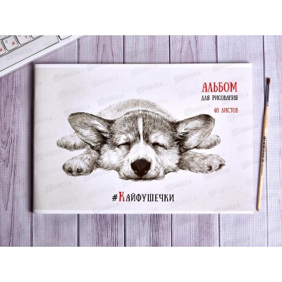 Альбом для рисования 40л ПЗБМ Черно-белые звери,049494 *4/28