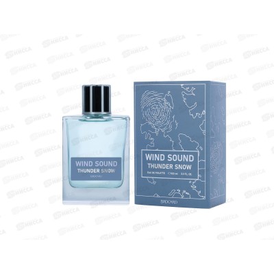 Wind Sound Thunder Snow , туалетная вода 100мл мужская *48 М Wind Sound Thunder Snow , туалетная вода 100мл мужская *48 М
