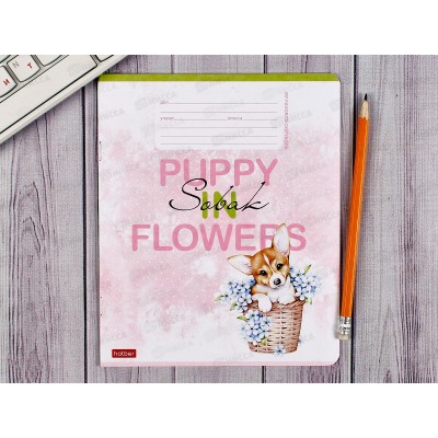 Тетрадь 12листов линия Hatber Пушистое счастье *10/140