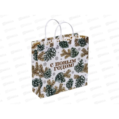 Сумочка пластиковая мягкий Новый Год 30*30 Белая зима *40