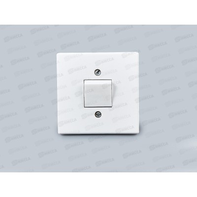 Выключатель скрытой установки С16-017 (Орша)   10    *5/80  ш