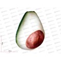 Авокадо-Антистресс большой, МТ11033  /9