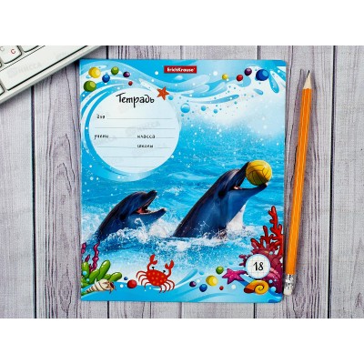 Тетрадь 18л кл. ПОЛИ Дельфины,49195*10/200