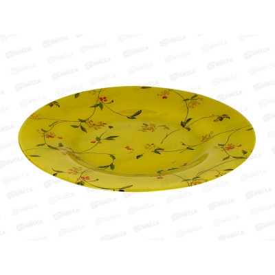 Тарелка Барбарис 260мм упроч 10328SLBD32 *12 Тарелка Барбарис 260мм упроч 10328SLBD32 *12