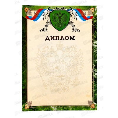 Диплом А4 КП 2231 премиум с госсимволикой *20 Диплом А4 КП 2231 премиум с госсимволикой *20