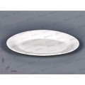 Блюдо овальное 25*17см MFK20269-25
