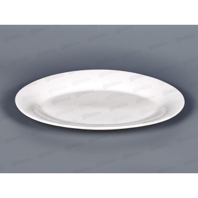 Блюдо овальное 25*17см MFK20269-25