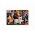 ПАЗЛ 1000элементов Котята в саду, Ф1000-7955 *10