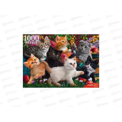 ПАЗЛ 1000элементов Котята в саду, Ф1000-7955 *10 ПАЗЛ 1000элементов Котята в саду, Ф1000-7955 *10
