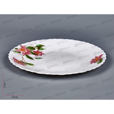 Тарелка плоская круглая d-21,5см (6/48) Вивьен 17017-твч8,5 Тарелка плоская круглая d-21,5см (6/48) Вивьен 17017-твч8,5