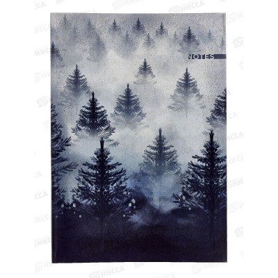 Кн.зап. АКАД А4 80л Туман, 11105 *20/320