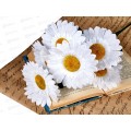 Букет ромашек 6голов 50см D-153 *5/40