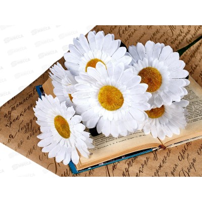Букет ромашек 6голов 50см D-153 *5/40