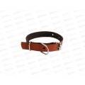 Ошейник ZooMoDa кожаный 15 (1) цветной короткий 05004 Ошейник ZooMoDa кожаный 15 (1) цветной короткий 05004