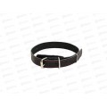 Ошейник ZooMoDa кожаный 20 (1) 03944 Ошейник ZooMoDa кожаный 20 (1) 03944