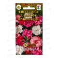 Гвоздика Диантус Плюмарис перистая 0,1г *10 АРТ + Гвоздика Диантус Плюмарис перистая 0,1г *10 АРТ +