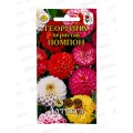 Георгина Помпон перистая 0,3г *10  АРТ +