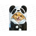 Тетрадь 40л кл. ФЕН Милый песик,62326*25