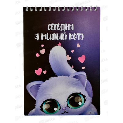 Блокнот 50л СБ А5 Котэ, греб.верх. *10