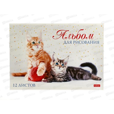 Альбом для рисования 12л Hatber Мы любим котиков*9/90