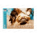 Альбом для рисования 24л Hatber Кот Борис,079771 *5/50