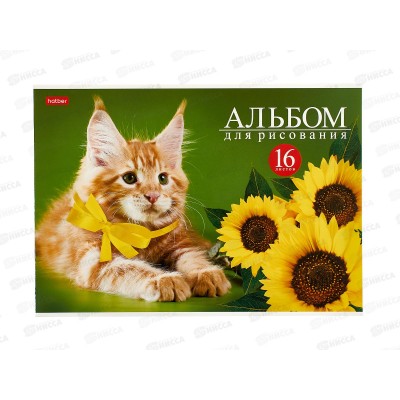 Альбом для рисования 16л Hatber На мягких лапах,079715*14/70