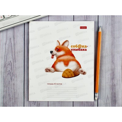 Тетрадь 40листов клетка  Hatber Собака-улыбака,079694 *10/100 Тетрадь 40листов клетка  Hatber Собака-улыбака,079694 *10/100