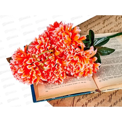 Букет Гвоздик 6голов №А-57  42491 *2/20