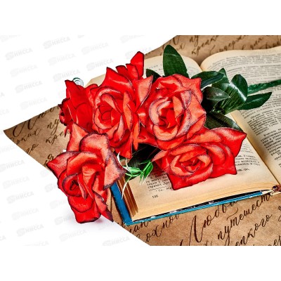 Букет роз 6голов 35см №А-35 42487 *4/40