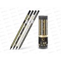 Карандаш чернографитный с ластиком EК Magic Sky HB, 55259 *42