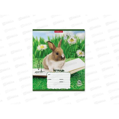 Тетрадь 12листов линия ПОЛИ Кролики,58246*10/280 Тетрадь 12листов линия ПОЛИ Кролики,58246*10/280