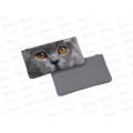 Пенал-конверт  EK grey cat, 57202*12/72