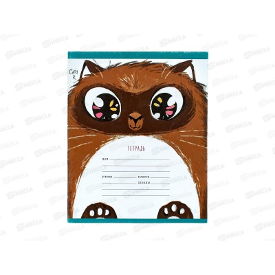 Тетрадь 12листов клетка ЭКСМ Пушистые котики ТК128279 *100