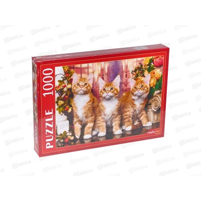 ПАЗЛЫ 1000 элементов Рыжие мейн-куны, ШТП1000-1475 *10