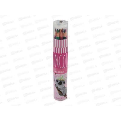 Карандаши 12 цветов АЛЬТ Funcolor в тубусе с точилкой,30-0085*12