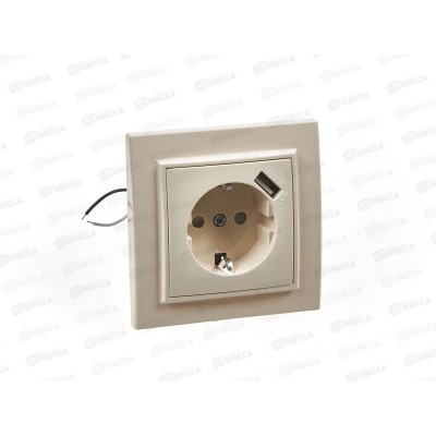Розетка Эрна 1-местная, с заземлением, с защитной шторкой и с USB, PST16-9011-02, слоновая кость