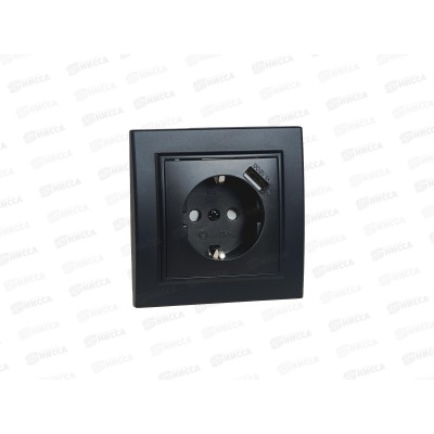 Розетка Эрна 1-местная, с заземлением, с защитной шторкой и с USB, PST16-9011-03, черный Розетка Эрна 1-местная, с заземлением, с защитной шторкой и с USB, PST16-9011-03, черный