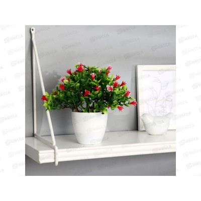 Бонсай в горшке &quotПримула галант&quot 17*19см микс 9222733