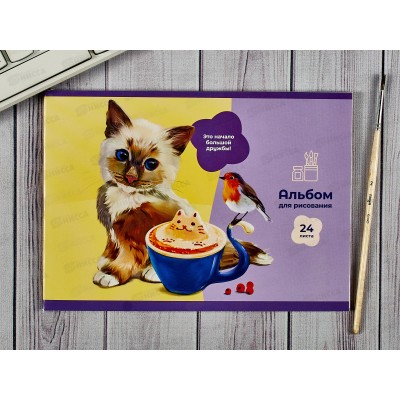 Альбом для рисования 24л BG MIX-Девочки, А5, асс.10985*24/96 Альбом для рисования 24л BG MIX-Девочки, А5, асс.10985*24/96