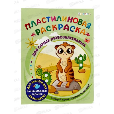 Раскраска пластилиновая ПП Для самых любознательных, 6л,  АКТ-8891