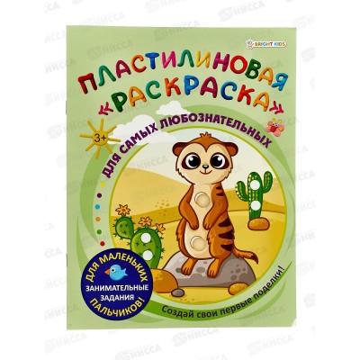 Раскраска пластилиновая ПП Для самых любознательных, 6л, АКТ-8891 Раскраска пластилиновая ПП Для самых любознательных, 6л, АКТ-8891