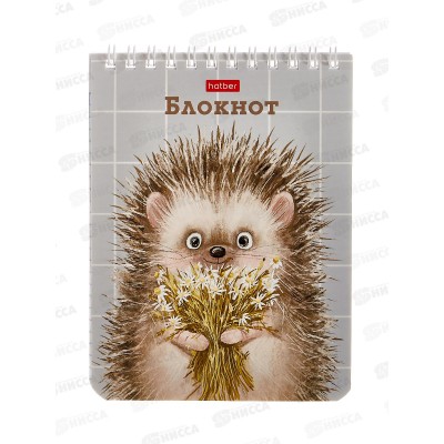 Блокнот 40л Hatber А6 Хорошо быть ёжиком *6/96 Блокнот 40л Hatber А6 Хорошо быть ёжиком *6/96