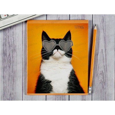 Тетрадь 48листов клетка ЭКСМ Стиляги, 5 видов ТКФ488459 *10/100 Тетрадь 48листов клетка ЭКСМ Стиляги, 5 видов ТКФ488459 *10/100