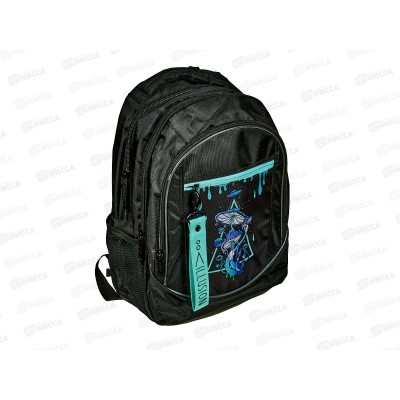 Рюкзак Hatber Street Иллюзия,42*30*20см.,90089 Рюкзак Hatber Street Иллюзия,42*30*20см.,90089