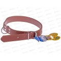 Ошейник для собак &quotБРО на Стиле&quot коричневый 511-129  *12