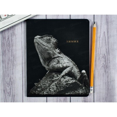 Тетрадь 48л кл. ПП &quotBLACKSOFT" Химия, 48-1741 *10/80